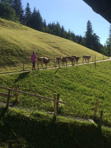 Agroturismo Bio-bauernhof Niederlehen