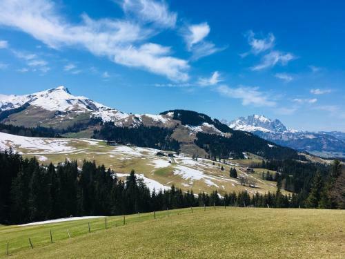 Apartamento Ferienwohnung B�rfeld
