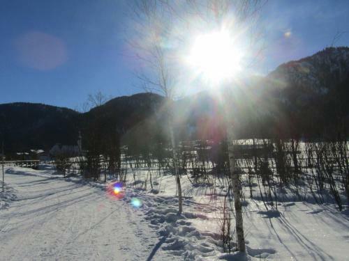 Apartamento G�stehaus Neumayer