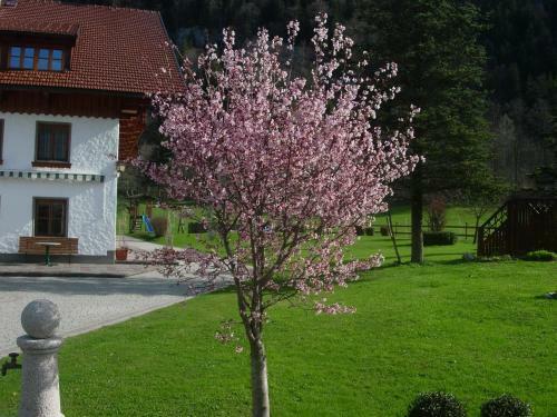 Agroturismo Schmiedbauernhof