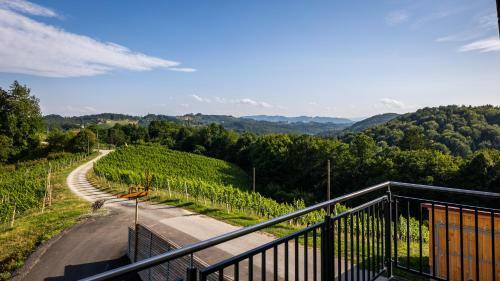 Apartamento Ferienwohnung Weingut Birnstingl