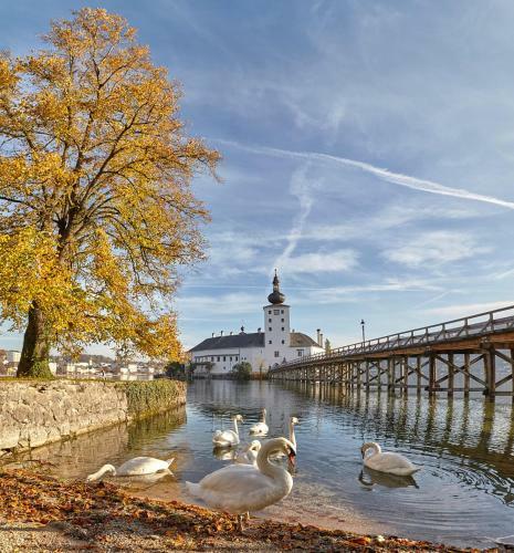 Apartamento Keramikhaus Gmunden
