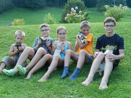 Agroturismo Biobauernhof Poidlbauer