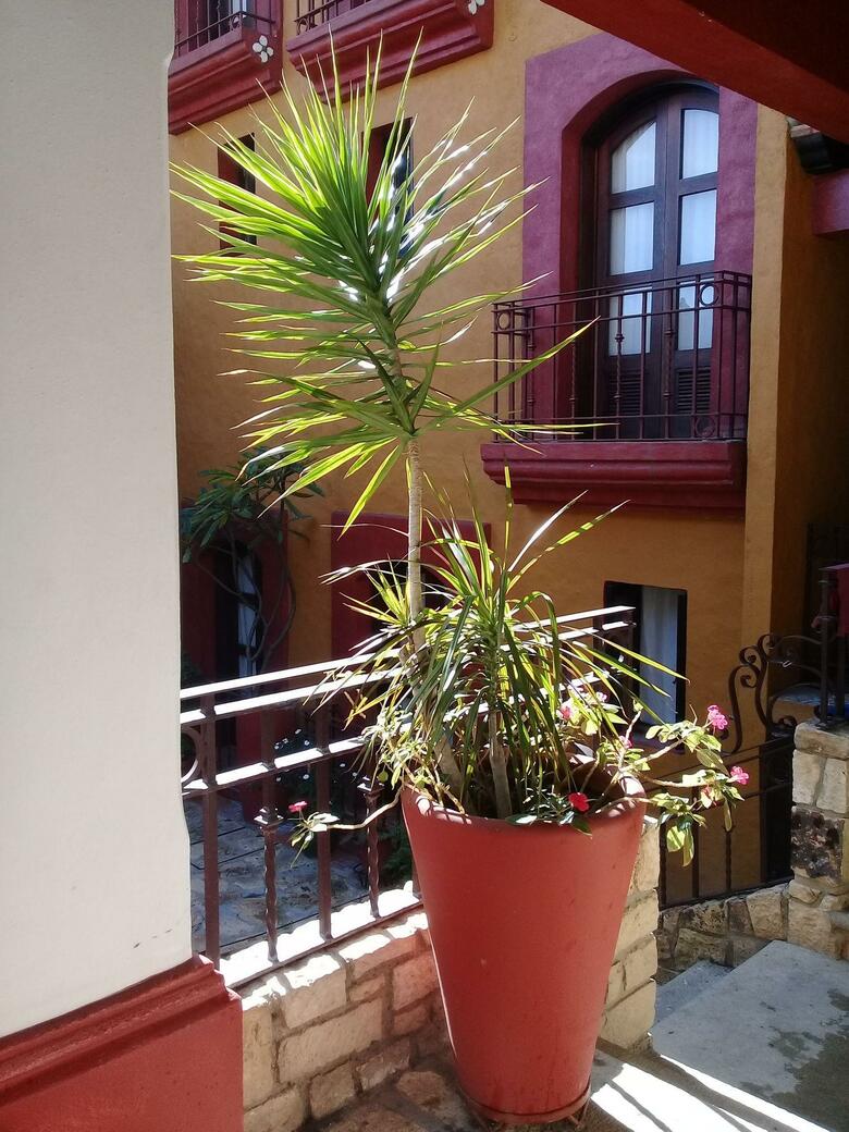 Hotel Casa Del S�tano
