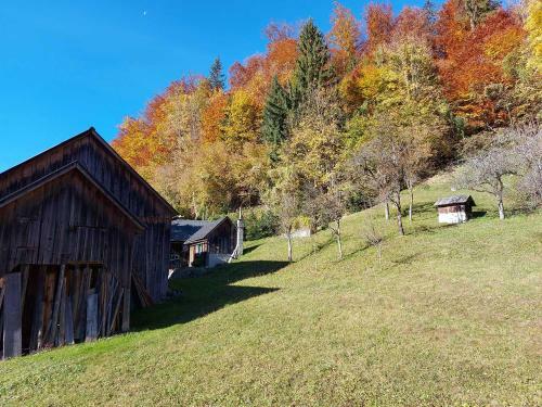 Apartamento Haus Annerl