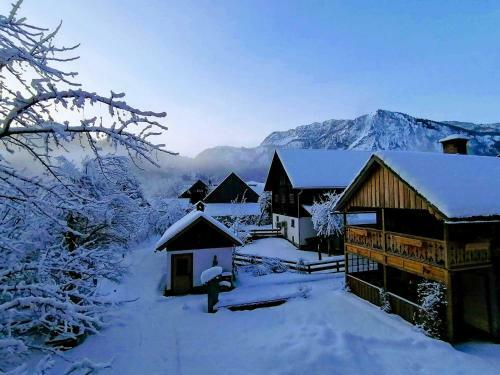 Apartamento Haus Annerl