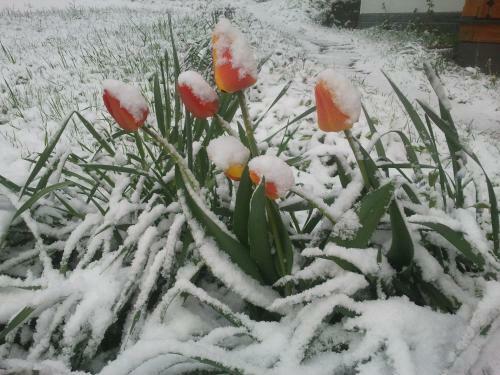 Apartamento Haus Schrei