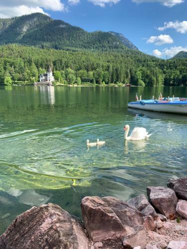 Apartment Am Grundlsee