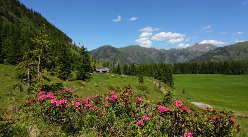 Apartamento Landhaus Grossarl