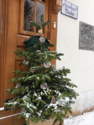 Apartamento Appartement Emilia