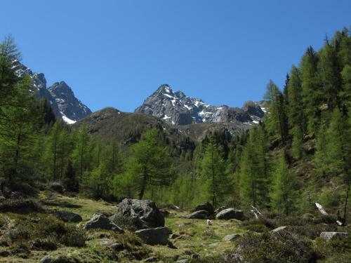 Apartamento Berghaus Glockner, App. Niedermeyer
