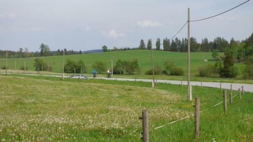 Apartman Erika Lipno