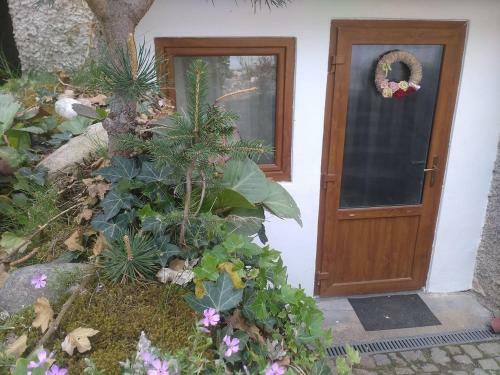 Apartm�n S Vlastn� Terasou