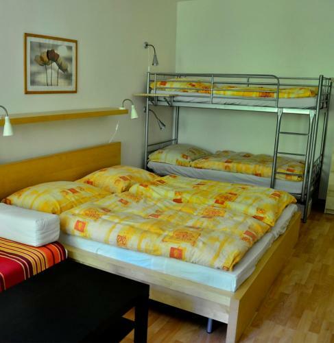 Apartm�n Horn� Lipov�