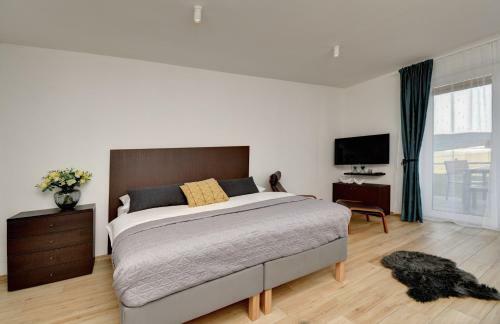 Apartm�n Lipno - Dv? Z�toky