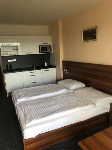 Apartm�ny Wellness Frymburk