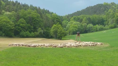 Bungalow Schwarzatalblick In Bad Blankenburg Ortsteil B�hlscheiben