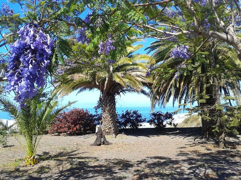 Apartamento La Palma Sun Nudist
