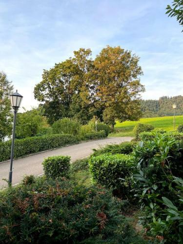 Apartamento Ferienwohnung Am Br�hl Mit Terrasse Und Garten