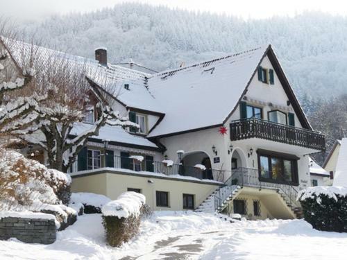 Posada Landgasthof Gr�ner Baum