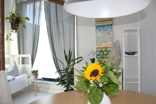 Apartamento Zaunk�nig