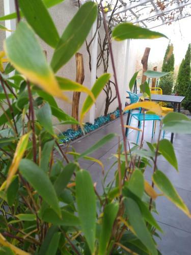 Art & Nature Apartments In Der N�he Ffm-messe