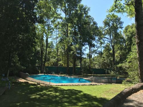 Apartamento Puc�n Andino