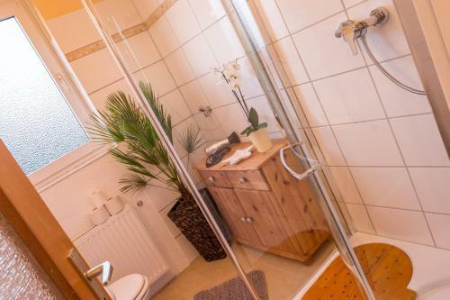 Apartamento Harz Haus Kati - Fewo Harzblick