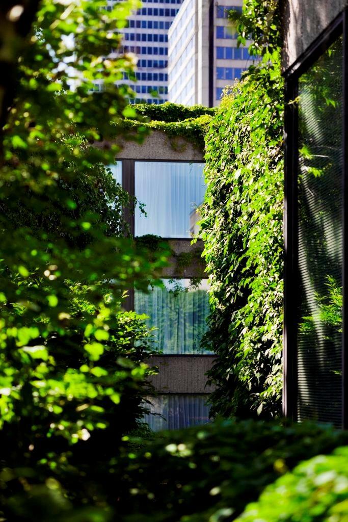 Hotel Hilton Montreal Bonaventure