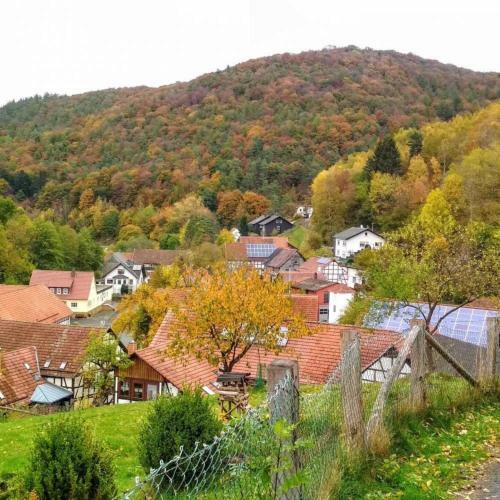 Apartamento Zeitraum Fewo