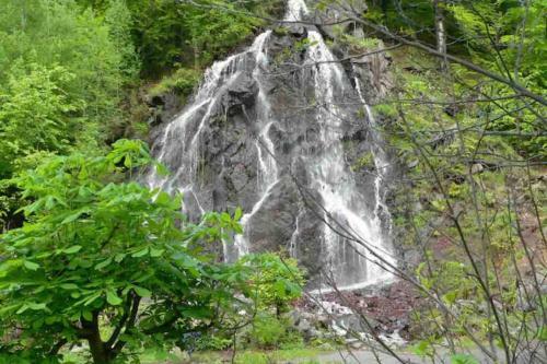 Apartamento Bezaubernde Fewo Harzgipfel Mit Dampfdusche