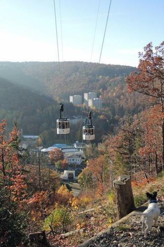 Apartamento Ferienwohnung P�ttner / Bad Harzburg