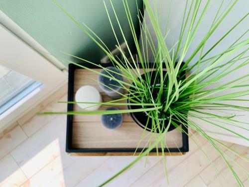 Apartamento Ferienwohnung Oberwinter