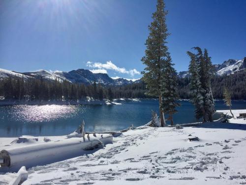 Aspen Creek #226