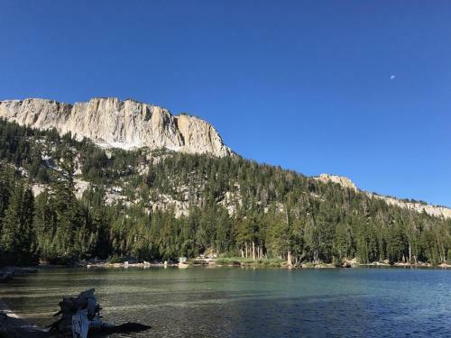 Mountainback #50, Pet Friendly