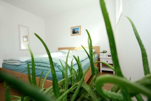 Apartamento Ferienwohnung Fembacher