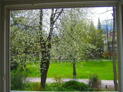 Apartamento Ferienwohnung Am Ortenaupark