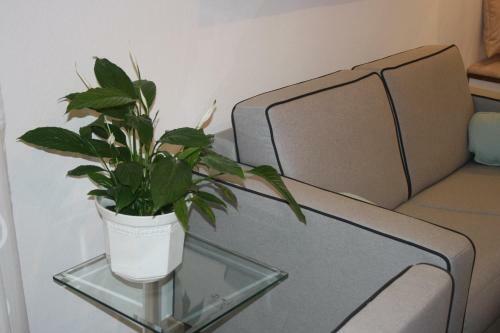 Apartamento Ferienwohnung Am Ortenaupark