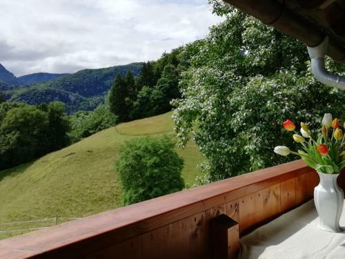 Apartamento Landhaus Heisenbauer