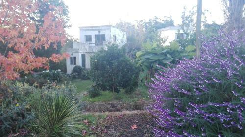 Apartamento Danzando Con Flores