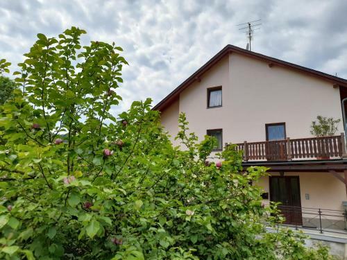 Apartamento Ferienwohnungen Herrmann