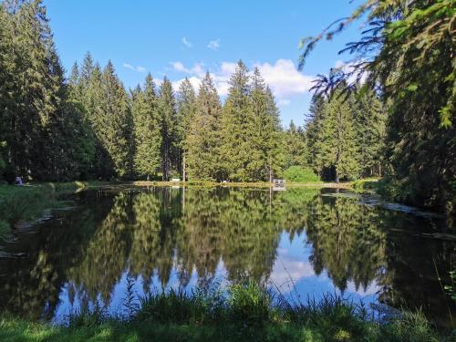 Apartamento N�he Nationalpark