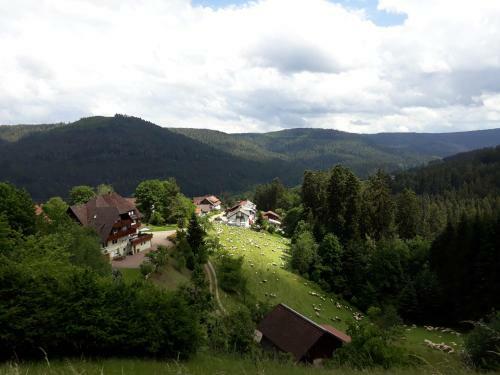 Hostal Landhaus Waldesh�he