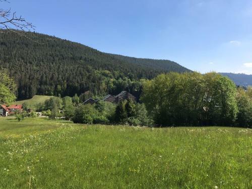 Apartamento Haus Schwarzwaldgrund