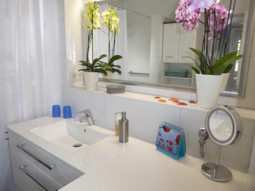 Apartamento Ferienwohnung Landhaus Im Gr�nen