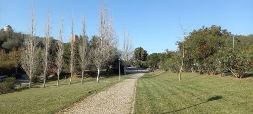 Apartamento Filipe�s House