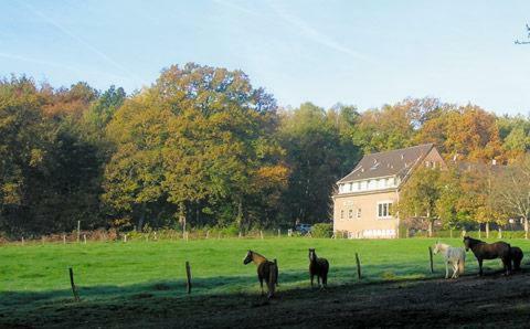 Hostal Forsthaus Sch�ntal