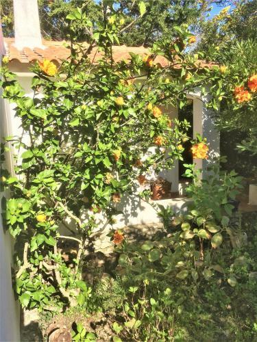 Casa Dos Pintos, Golf E Natureza