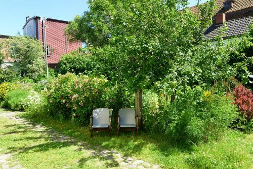 Apartamento Das Alte Kino In Barth - Das Gartenhaus