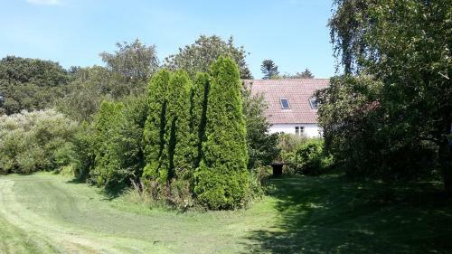 Apartamento Feriestedet Skovly